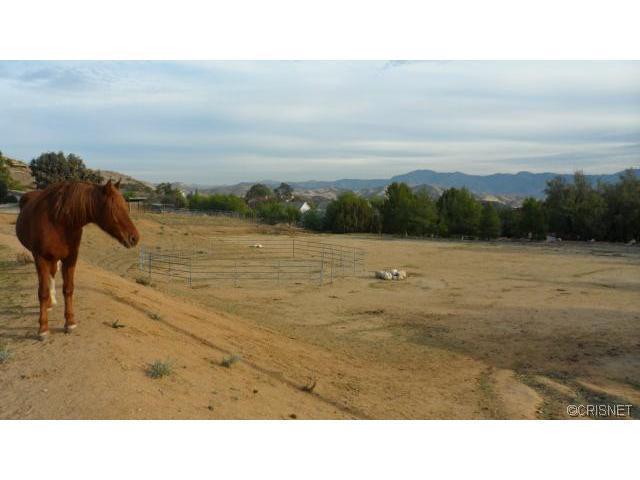 11333 Darling Road, Agua Dulce, CA 91390